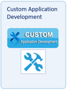 Custom application development